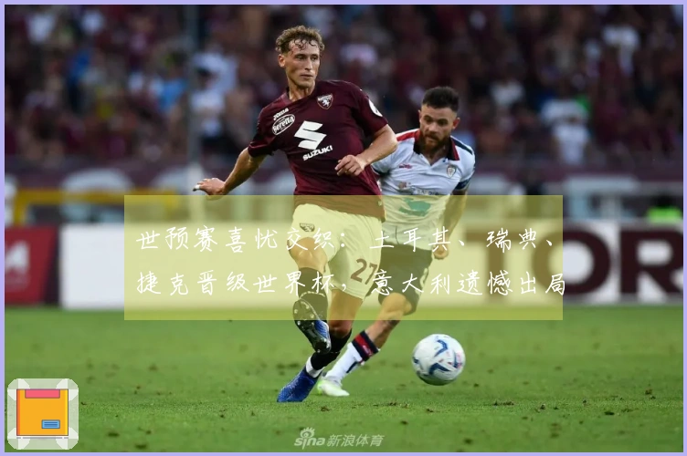 世预赛喜忧交织：土耳其、瑞典、捷克晋级世界杯，意大利遗憾出局