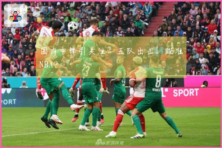国内中锋引关注？五队出击！瞄准NBA？
